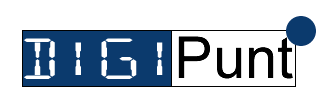 Logo Digipunt veendam